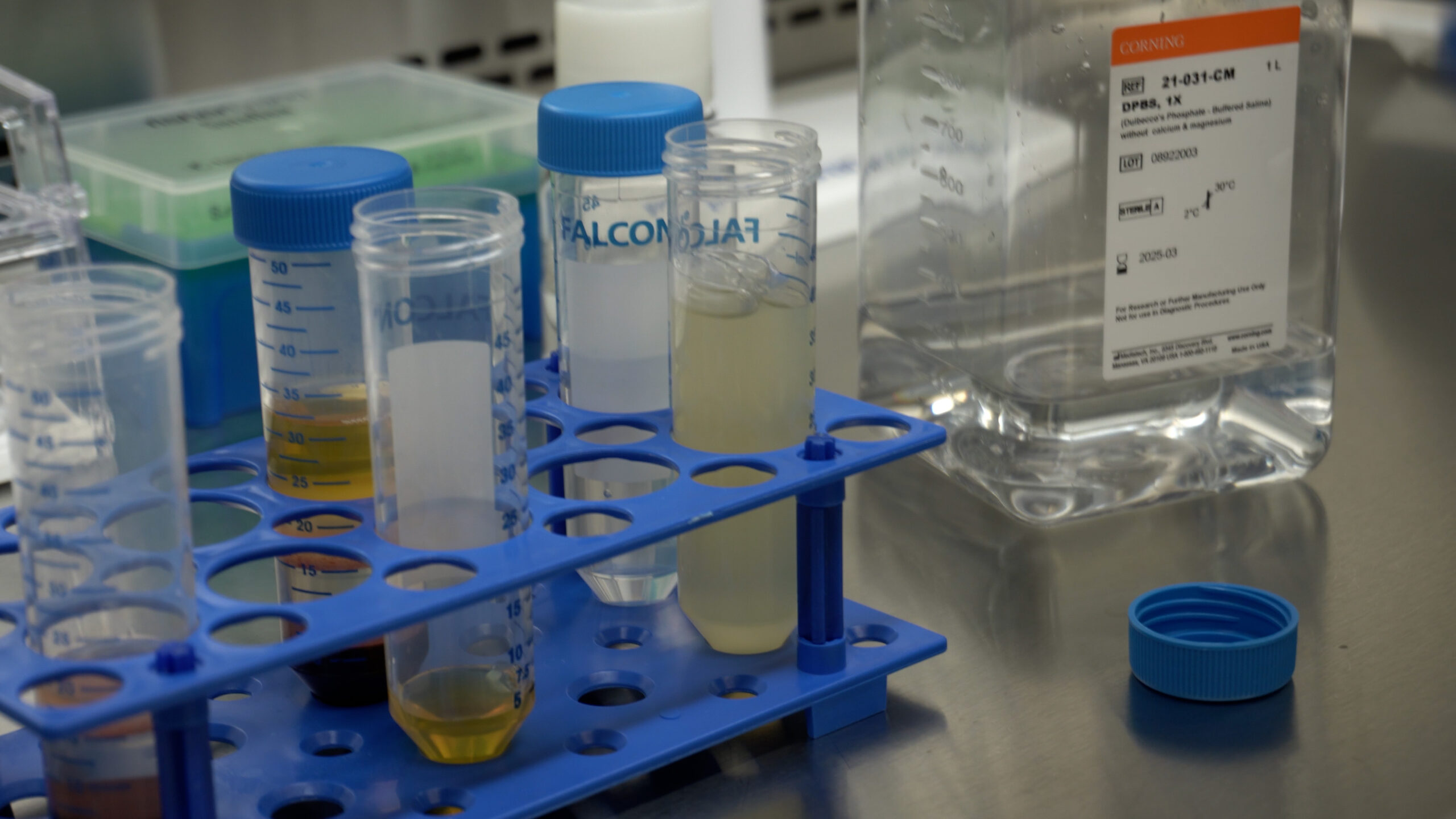 PBMC vials containing processed samples.